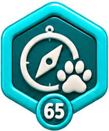 Бейдж «Pet Traveller» — Pet Friendly Ukraine