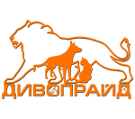 Логотип Дивопрайд