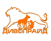 Логотип Дивопрайд