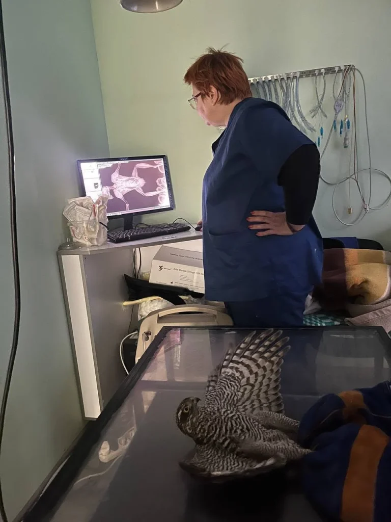«Добра Ласка» — ветеринарна клініка в Нікополі
