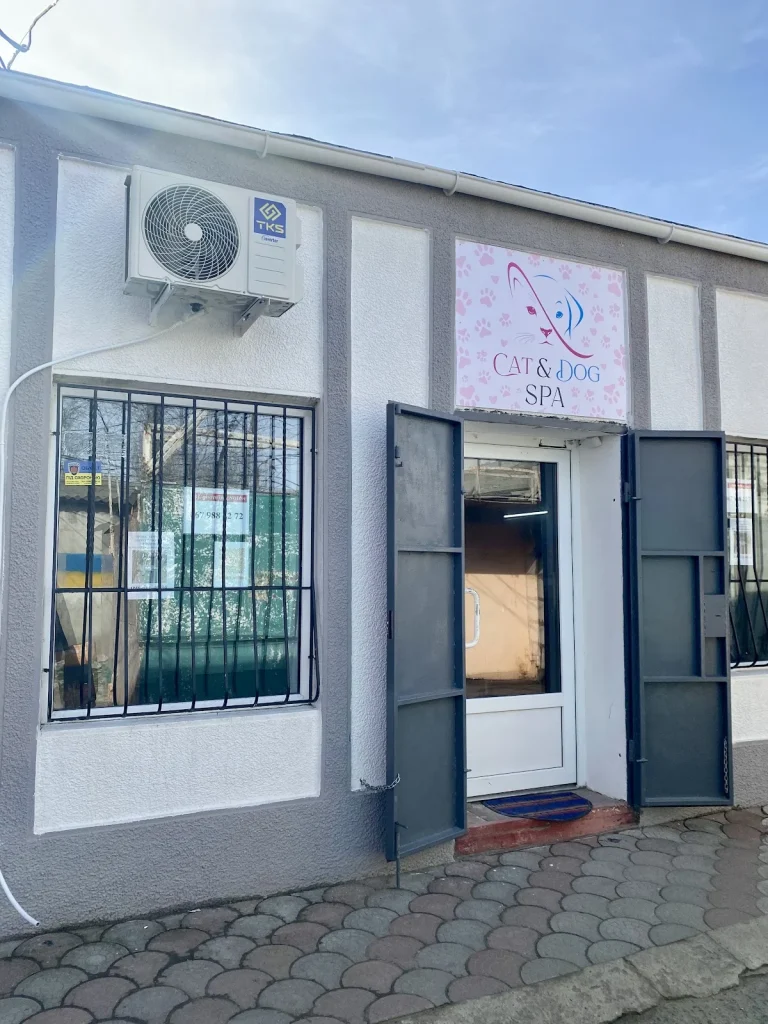 Грумінг салон Cat & Dog Spa