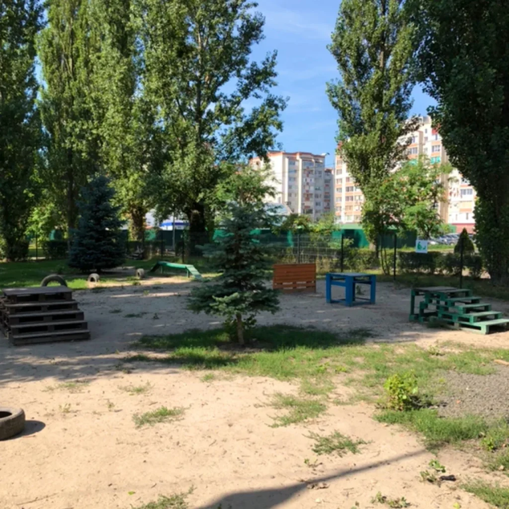 Майданчик для вигулу собак у парку Героїв Майдану та Небесного Легіону в Луцьку