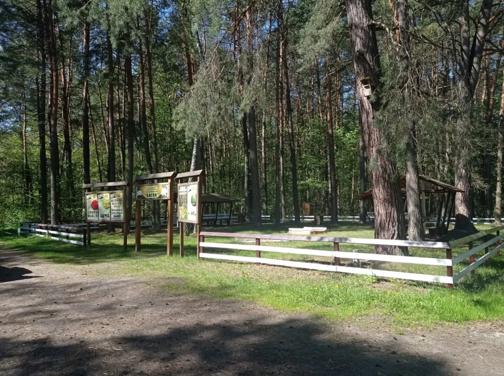 Зона відпочинку «Багна»