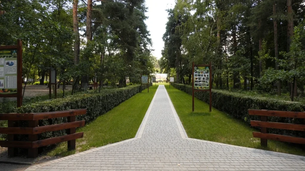 Зона відпочинку «Ободівські сосни»