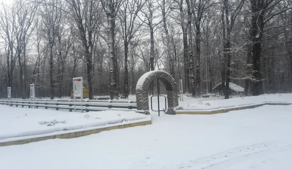 Зона відпочинку «Урочище Петрашівка»