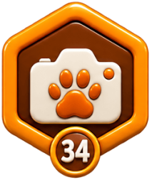 Бейдж «Pet Photographer» — Pet Friendly Ukraine